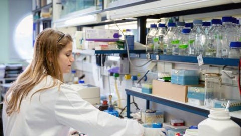 Melissa Belló, investigadora de Santa Pola en el Centro Nacional de Biotecnología. Melissa Belló, investigadora de Santa Pola en el Centro Nacional de Biotecnología.