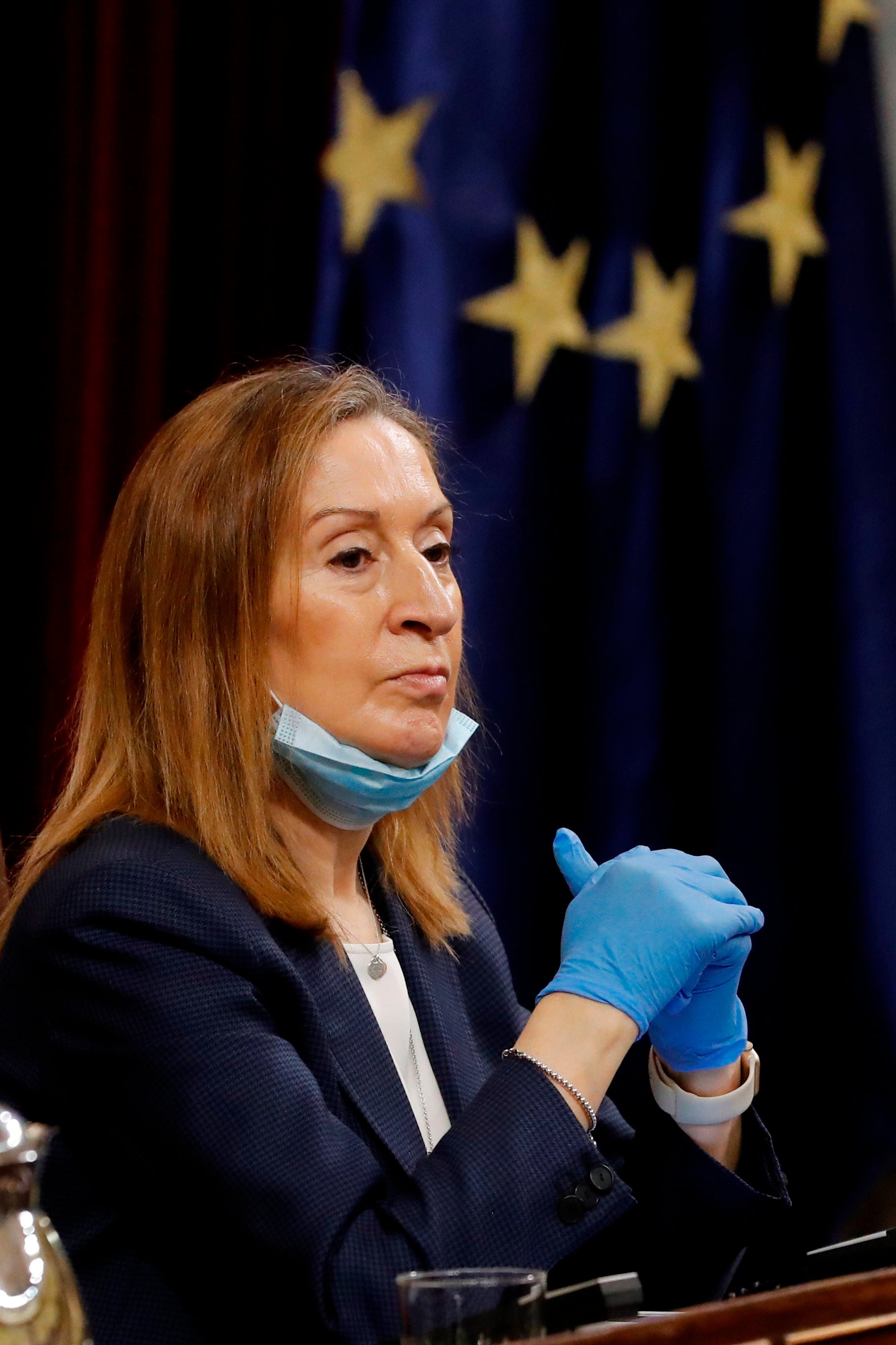 Ana Pastor: "El Gobierno ha mirado para otro lado, sigue de vacaciones" Ana Pastor: "El Gobierno ha mirado para otro lado, sigue de vacaciones"