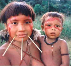 Cientificos brasilenos piden que se proteja a las poblaciones indigenas frente a la COVID 19 Cientificos brasilenos piden que se proteja a las poblaciones indigenas frente a la COVID 19