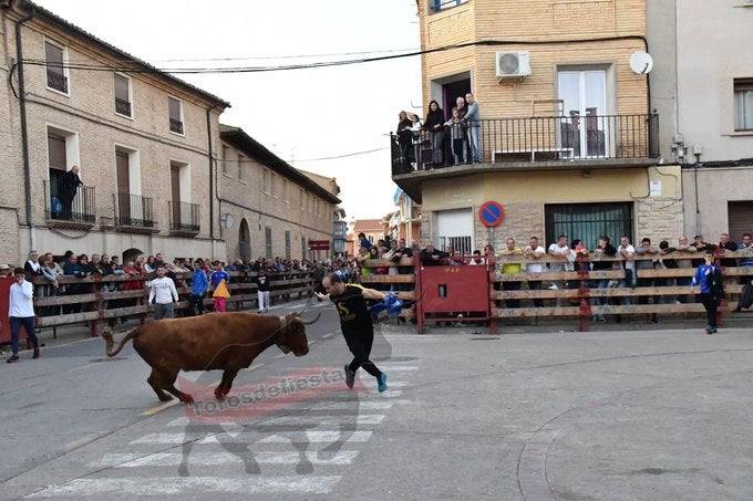 Fernando Ganuza, ganadero: "Vamos a tener que competir en los festejos populares con los grandes ganaderos" Fernando Ganuza, ganadero: "Vamos a tener que competir en los festejos populares con los grandes ganaderos"