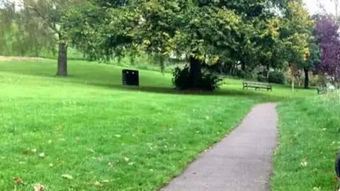 Perro escondido en una foto de un parque Perro escondido en una foto de un parque