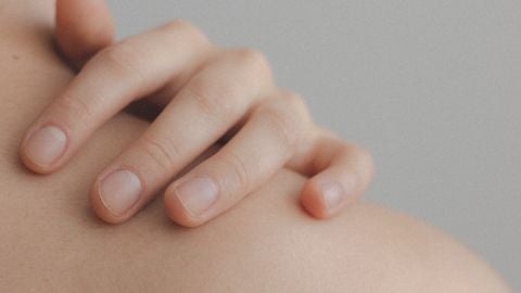  La piel tiene distintos tipos de receptores para detectar est&iacute;mulos