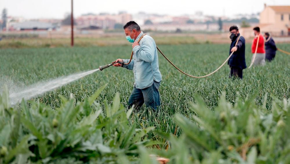 Agricultores durante la pandemia