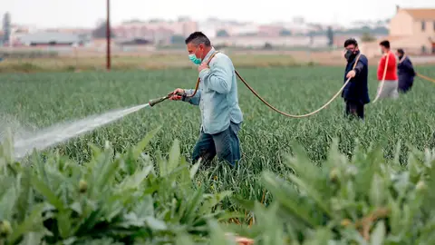 Agricultores durante la pandemia Agricultores durante la pandemia