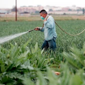 Agricultores durante la pandemia Agricultores durante la pandemia