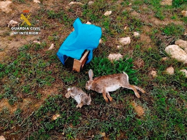 Investigado por saltarse el confinamiento y cazar en una zona protegida de Daimiel con una trampa artesanal Investigado por saltarse el confinamiento y cazar en una zona protegida de Daimiel con una trampa artesanal