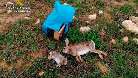 El investigado cazada en una zona protegida de Daimiel