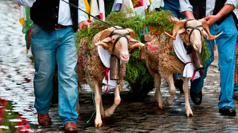 mondas mondas talavera