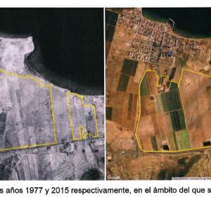 Transformación secano en regadío Transformación secano en regadío