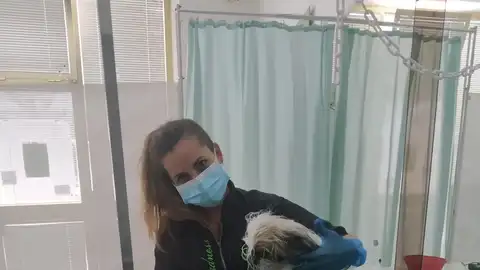 COCO y PIÑA COCO y PIÑA