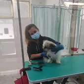 COCO y PIÑA COCO y PIÑA