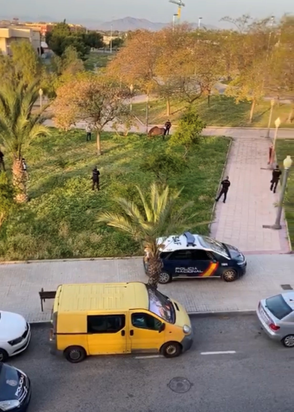La Policía 'detiene' en Elche a un caballo por saltarse el confinamiento La Policía 'detiene' en Elche a un caballo por saltarse el confinamiento