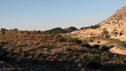 Sierra de Crevillent. Sierra de Crevillent.