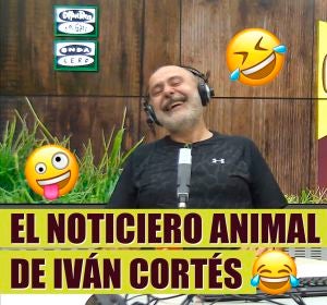 El noticiero animal de Iván Cortés El noticiero animal de Iván Cortés