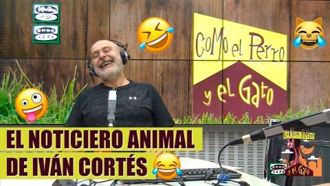 El noticiero animal de Iv&aacute;n Cort&eacute;s