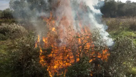 Quemas restos vegetales Quemas restos vegetales