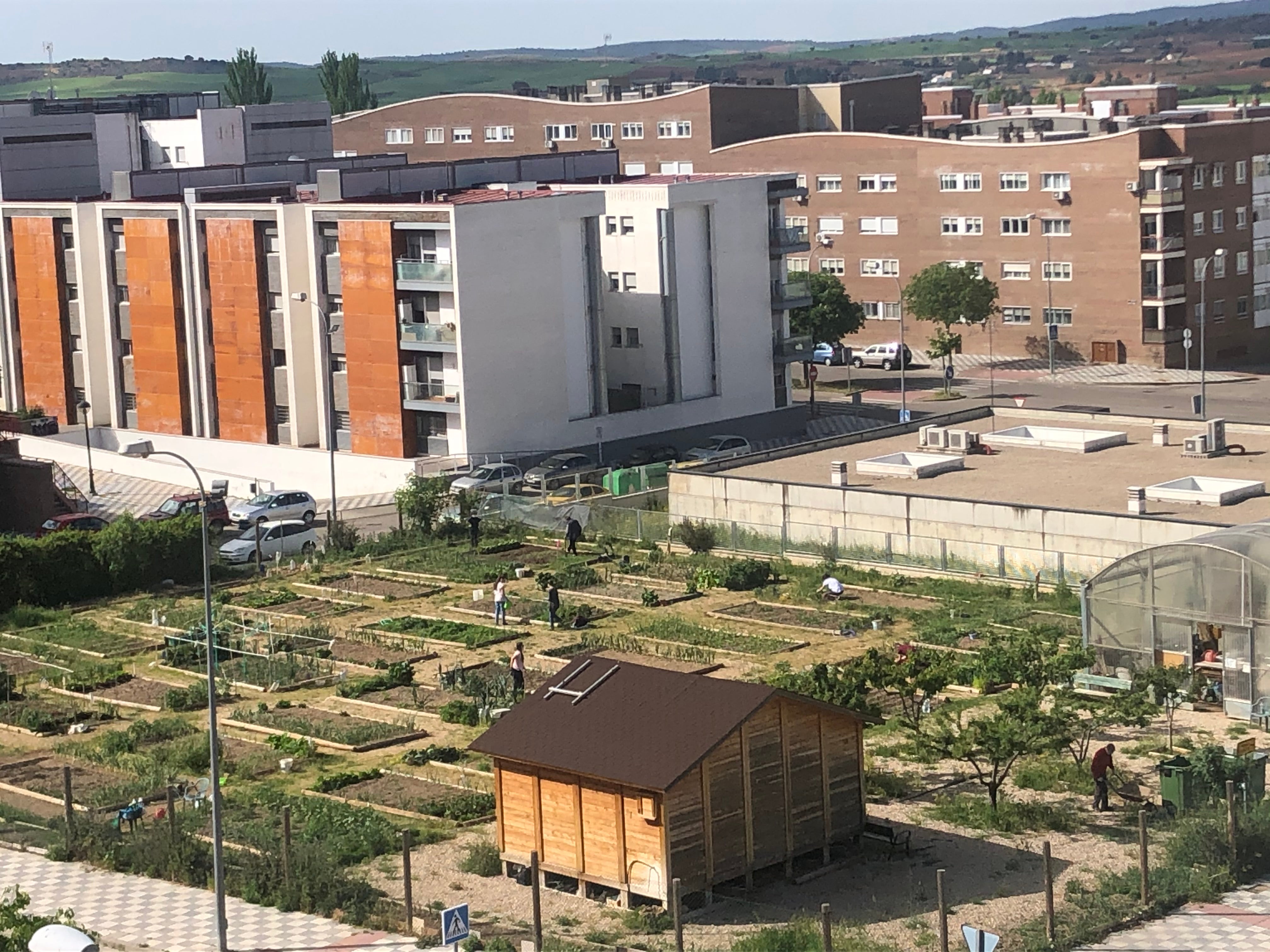 Reabren los huertos sociales de Cuenca Reabren los huertos sociales de Cuenca