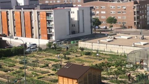 Huertos sociales de Cuenca