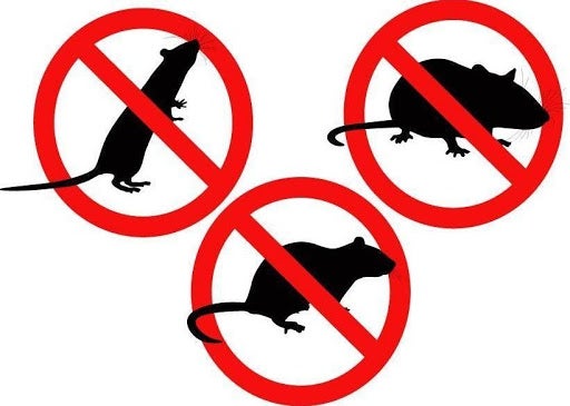 Mas de Uno Mérida Informativo Mas de Uno Mérida Informativo