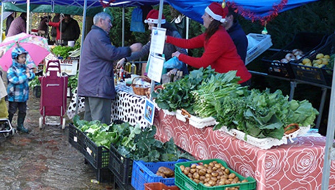 A Xunta permite desde hoxe a celebración dos mercados locais para venda de porductos agrícolas A Xunta permite desde hoxe a celebración dos mercados locais para venda de porductos agrícolas