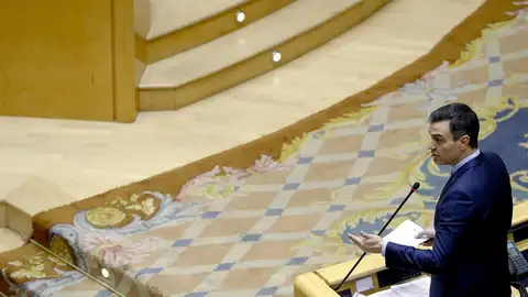 Pedro Sánchez en el Senado Pedro Sánchez en el Senado