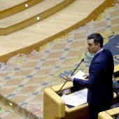 Pedro Sánchez en el Senado