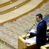 Pedro Sánchez en el Senado Pedro Sánchez en el Senado