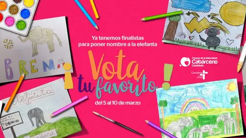 Cabárceno abre la votación popular en Facebook para elegir el nombre de la elefanta nacida en febrero La votación se llevará a cabo en la página oficial del parque en Facebook
