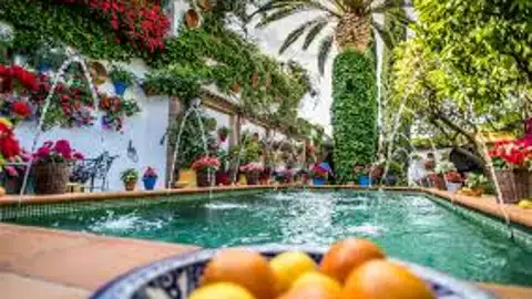 Más de Uno Córdoba Más de Uno Córdoba