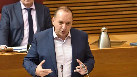 Martínez Dalmau, Corts, coronavirus Martínez Dalmau, Corts, coronavirus