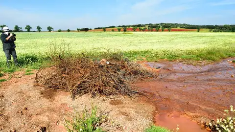 El nuevo "géiser" ha aparecido en una parcela agrícola El nuevo "géiser" ha aparecido en una parcela agrícola