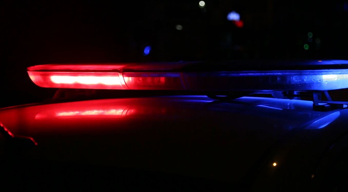 Vol. 237 "cuerpos de seguridad" Vol. 237 "cuerpos de seguridad"