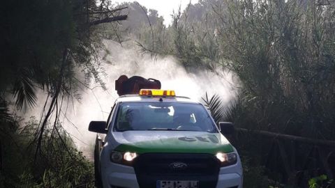 Trabajos de fumigación en una pedanía de Elche. Trabajos de fumigación en una pedanía de Elche.