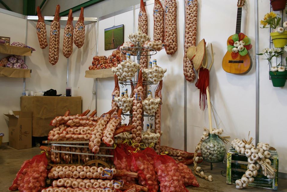 Regresa la Feria Internacional del Ajo de Las Pedroñeras Regresa la Feria Internacional del Ajo de Las Pedroñeras
