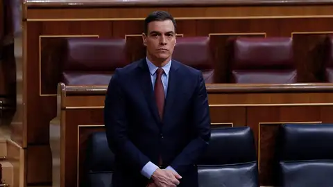 Pedro Sánchez guarda un minuto de silencio por las víctimas del coronavirus en el Congreso Pedro Sánchez guarda un minuto de silencio por las víctimas del coronavirus en el Congreso