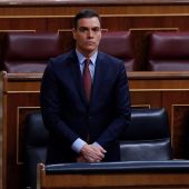 Pedro Sánchez guarda un minuto de silencio por las víctimas del coronavirus en el Congreso