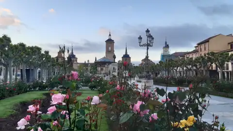 Plaza de Cervantes Alcalá de Henares Patrimonio Mundial