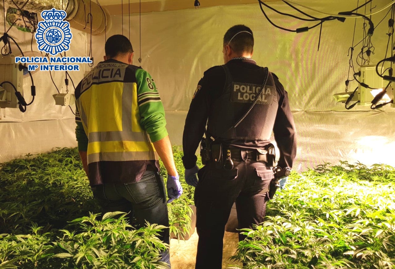 Piel de policía: España, el huerto de marihuana de Europa Piel de policía: España, el huerto de marihuana de Europa