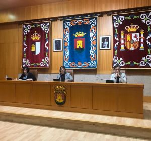 pleno talavera pleno talavera
