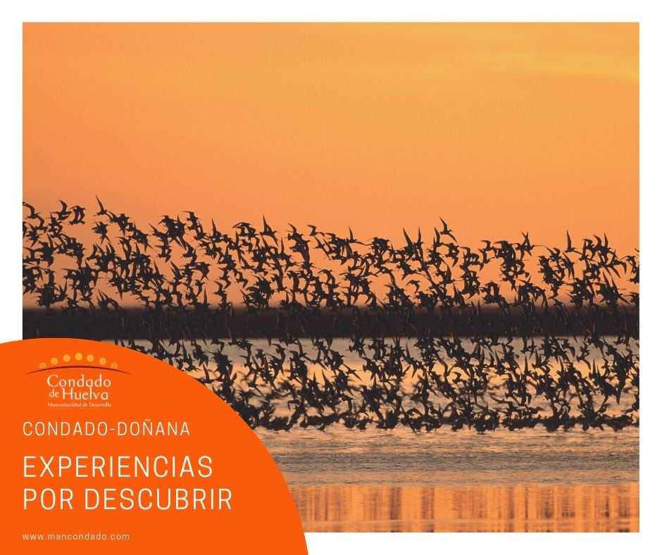 La Mancomunidad del Condado lanza una campaña en redes sobre el turismo de proximidad La Mancomunidad del Condado lanza una campaña en redes sobre el turismo de proximidad