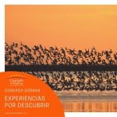 Condado - Doñana 