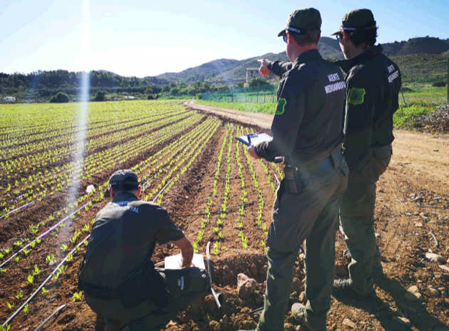 Mar Menor. La Consejería de Agricultura empieza el desmontaje de 940 hectáreas de regadío ilegal. Mar Menor. La Consejería de Agricultura empieza el desmontaje de 940 hectáreas de regadío ilegal.