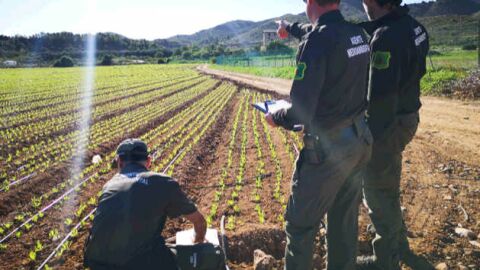 Regadío ilegal Regadío ilegal