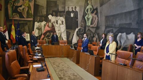 La Diputación de Ciudad Real ha celebrado pleno telemático La Diputación de Ciudad Real ha celebrado pleno telemático