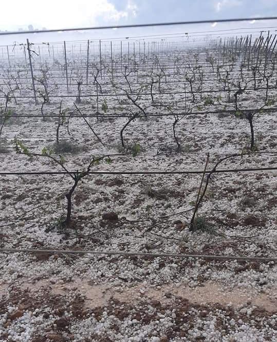 Las tormentas de granizo causan daños en Landete, Villarta o Garaballa Las tormentas de granizo causan daños en Landete, Villarta o Garaballa