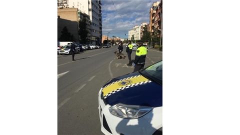 POLICIA LOCAL VILLAJOYOSA