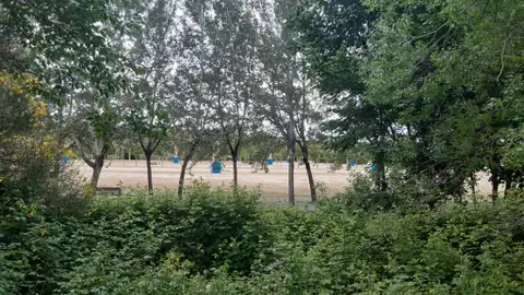 Parque Isla del Colegio Alcalá de Henares Parques de Alcalá