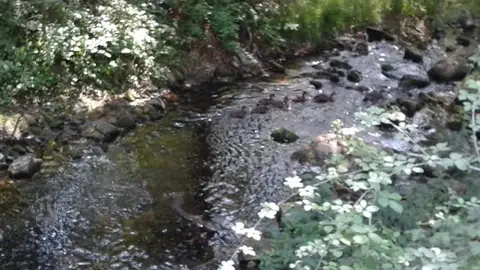 Rio Barbaña Rio Barbaña