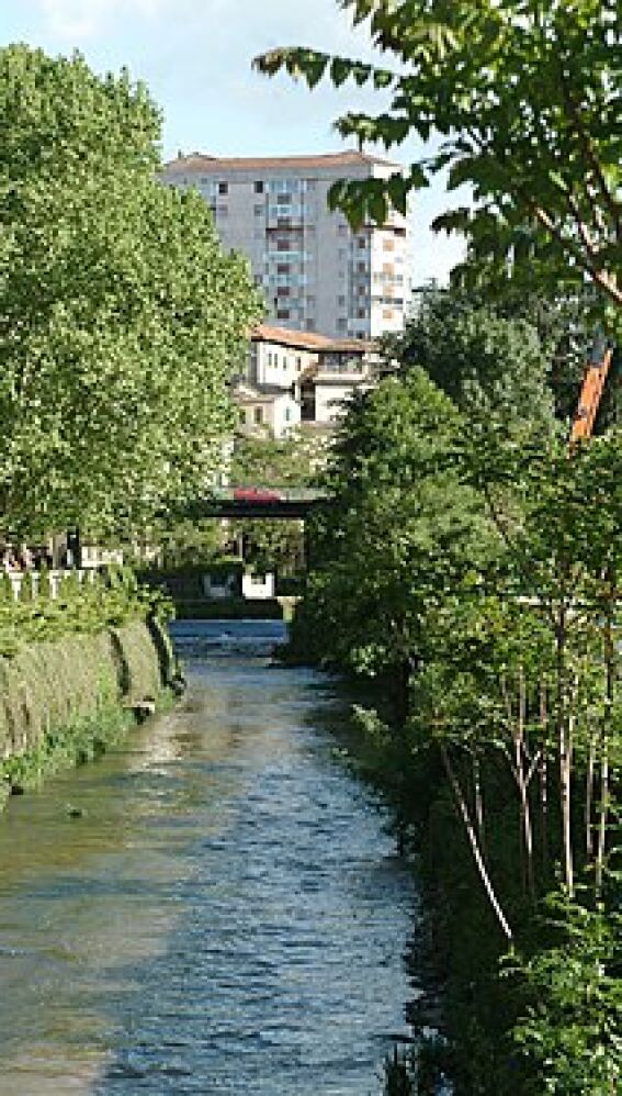 rio barbaña