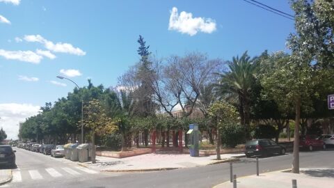 Elche.
